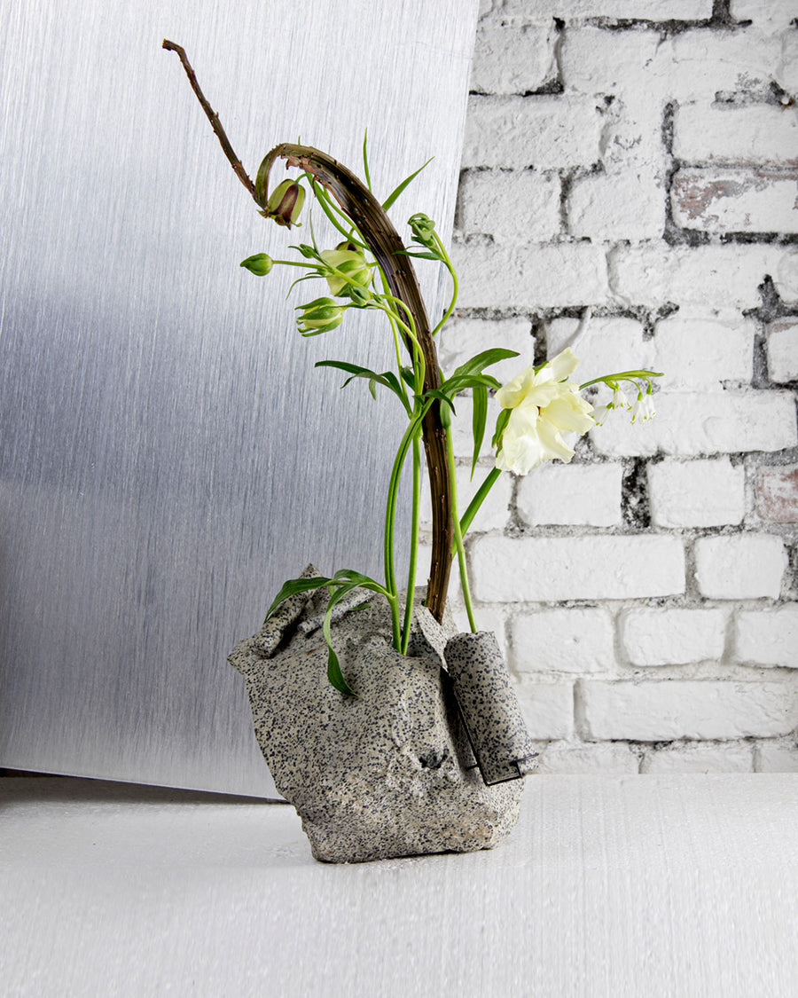 a plant in a vase on a wall 