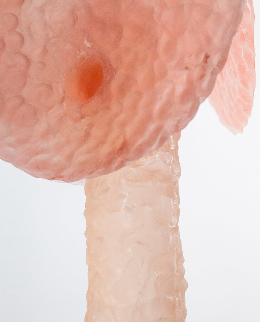 a close up of a person holding a doughnut 
